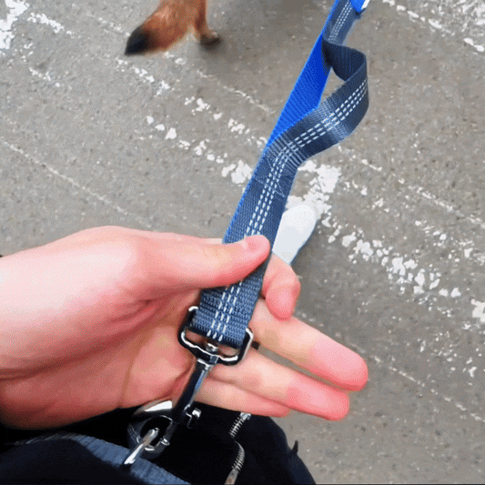 BlissPaw™ Linka na pas z amortyzacją